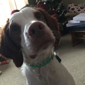 Meet your Posher, Brianna